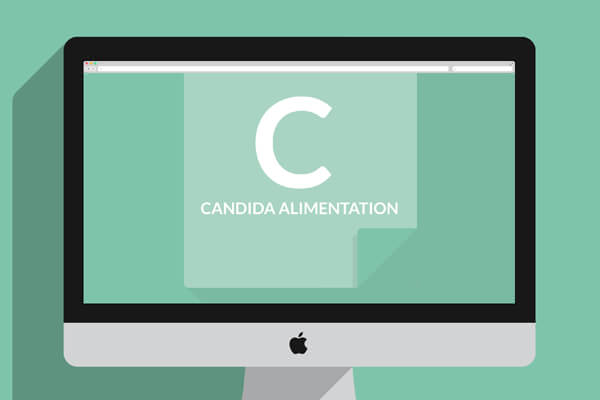 réalisation du site candida-alimentation.fr